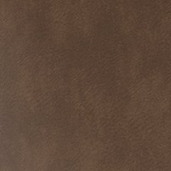Chasemore Sofa Sleeper