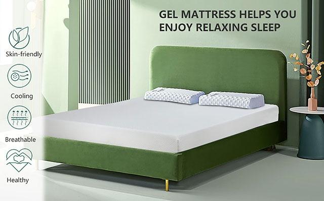 Artemisia 12" Memory Foam Mattress