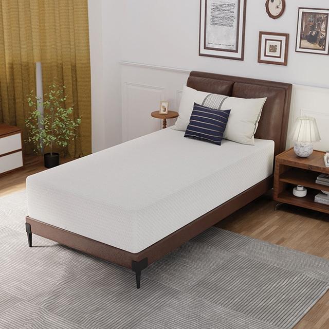 Forsythia 12" Twin Green Tea Gel Memory Foam