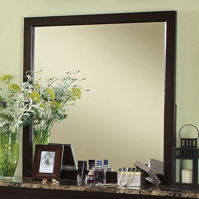 Lemoore Mirror
